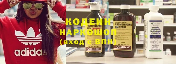 прущие грибы Кодинск