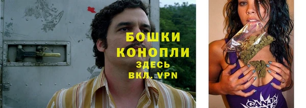 прущие грибы Кодинск