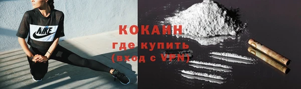 прущие грибы Кодинск