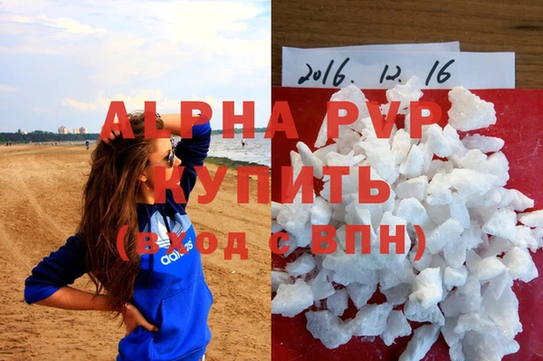 прущие грибы Кодинск