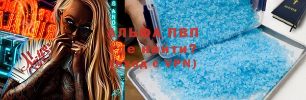 прущие грибы Кодинск
