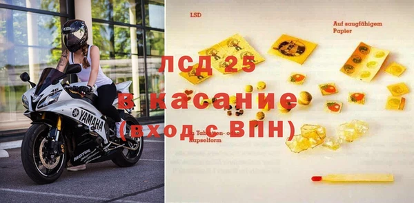 прущие грибы Кодинск