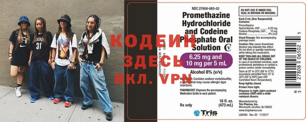прущие грибы Кодинск