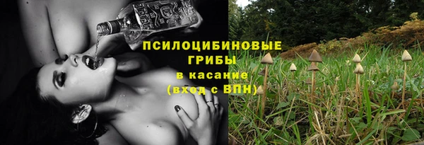 ALPHA PVP Козельск