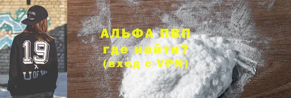 прущие грибы Кодинск