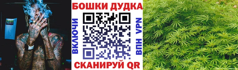 Шишки марихуана конопля Ершов
